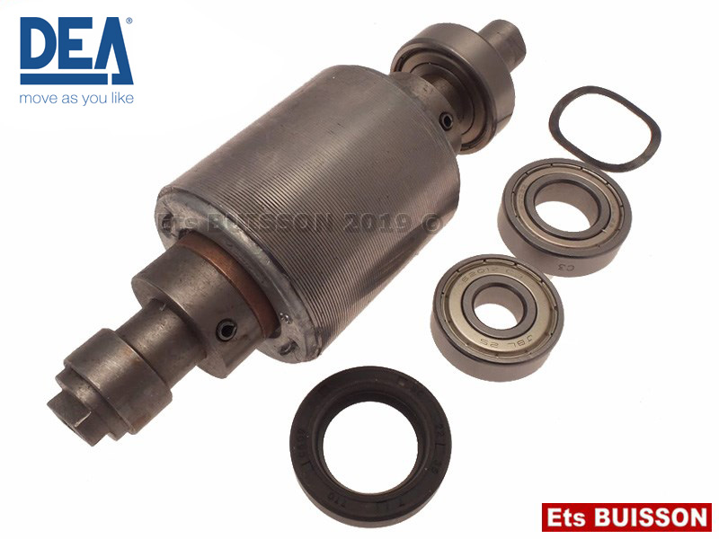 DEA LIVI 400/800 - Arbre moteur Référence 914081I