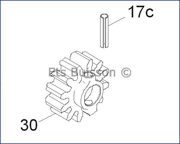 CAME BX246 Pignon 119RIY010