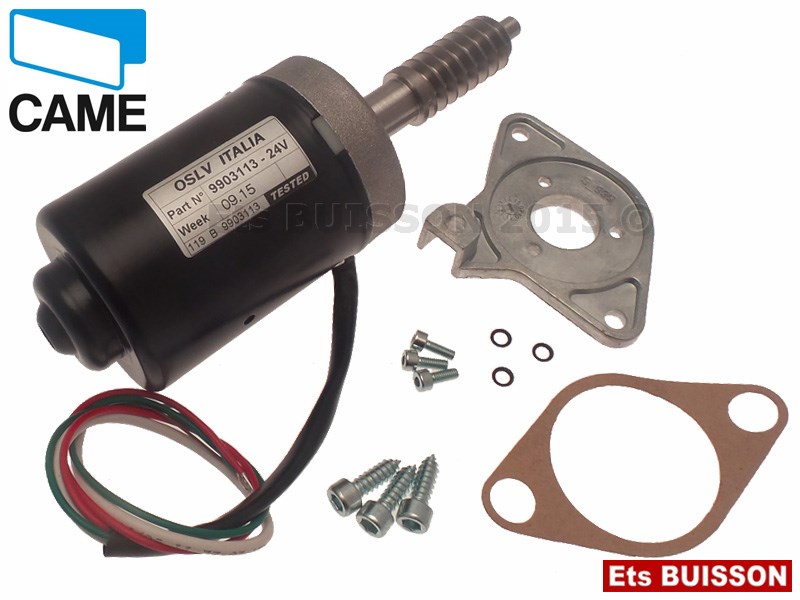 Came BX243 - Groupe moteur - 119RIBX046 (4C-9C-10C-11-11C-12-13-