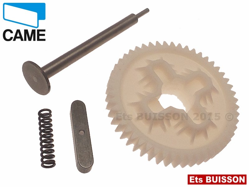 Came BX243 - Couronne motoréducteur - 119RIBX052 (6C-7-7C-8-9)